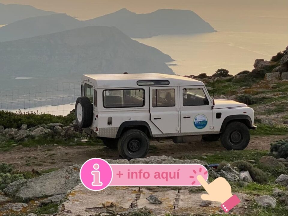 Excursión todoterreno en 4X4 al Parque Nacional de Asinara