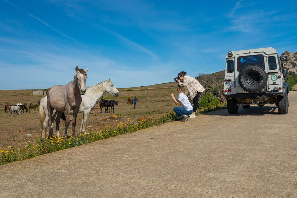 Excursión todoterreno en 4X4 al Parque Nacional de Asinara - Imagen 3