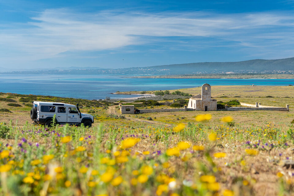 Excursión todoterreno en 4X4 al Parque Nacional de Asinara - Imagen 9