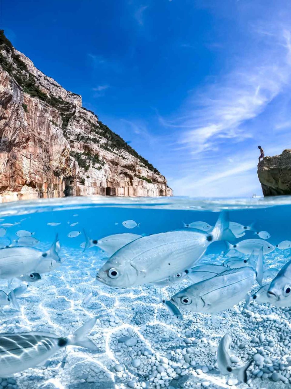 EXCURSION EN VELERO EN EL ARCHIPIELAGO DE LA MADDALENA - Imagen 10