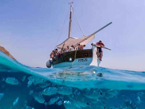 imagen de un grupo de personas haciendo una excursión en velero por la isla de asinara