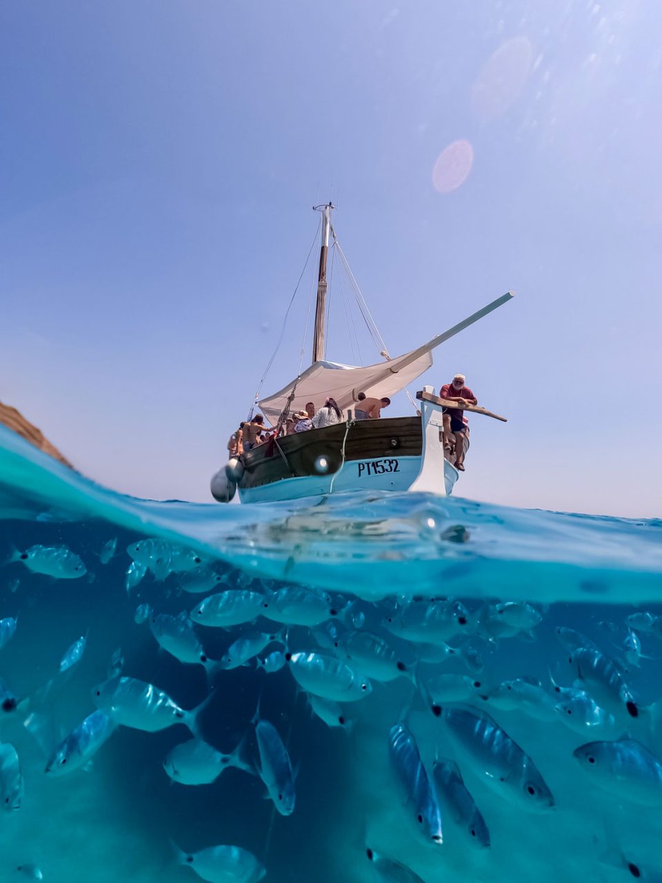 imagen de un grupo de personas haciendo una excursión en velero por la isla de asinara