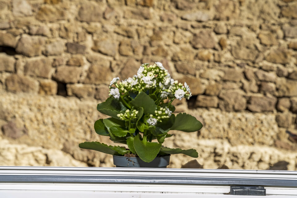 Nuovo Jara, apartamento en el casco antiguo de Castelsardo - Imagen 14